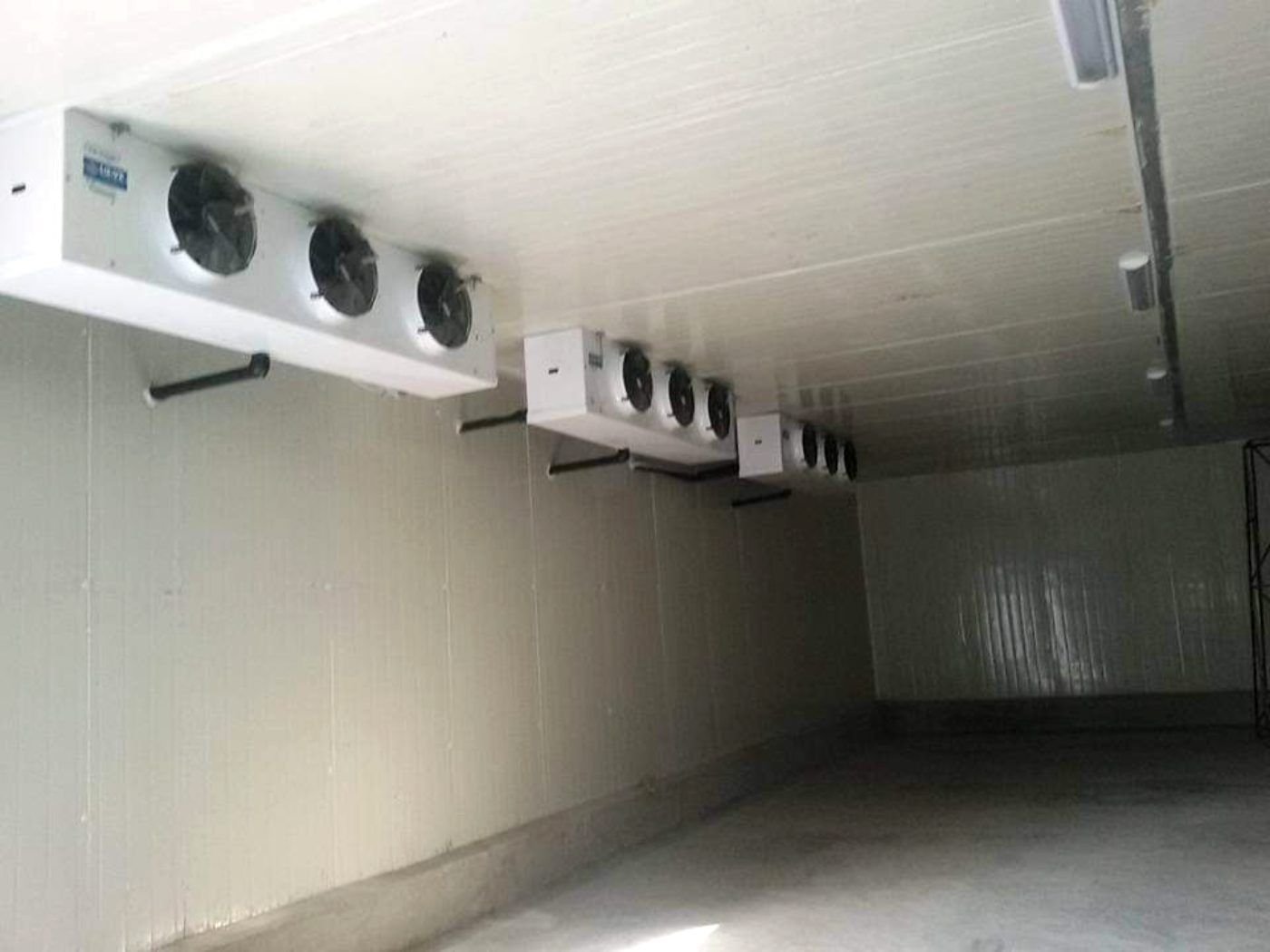 Freezer room with ceiling-mounted evaporator units
